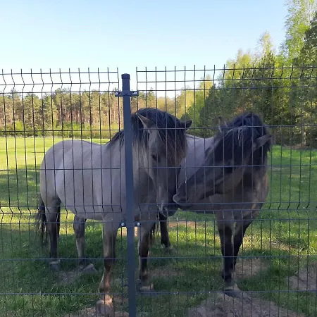 Mazurska Laba Vakantiehuis *